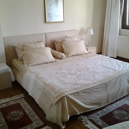 Butik Villas - Bodrum Evleri * 古托克布库